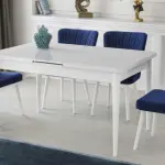 Zarif Masa Takımı